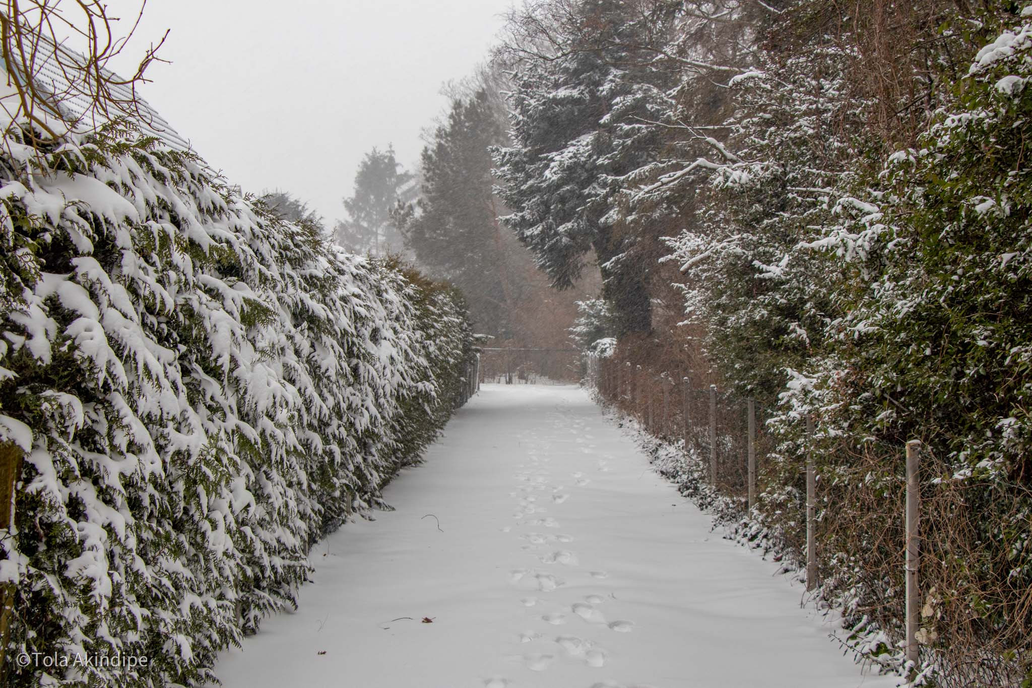Snow in Braunschweig, Germany